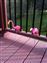I zoomed in... and here's a closeup of those darn pink birds that show up every time we grill out.  May 25th 2014.
