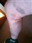 This photo was take Jan 08 2014, one week later, my legs really took a beating when I fell through the thin lake crust.