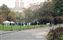 While walking through Central Park we came up the filming of Will & Grace. This was season 5 episode 8, Marry Me A Little Marry Me A Little More, air date Nov. 21, 2002.  In this episode Grace(Debra Messing) marries Leo (Harry Connick, Jr).