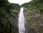The treck to Waimoku is a must do if your on Maui.