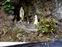 Here's a photo of the Blessed Mother Shrine near mile marker 45 on the Road to Hana.