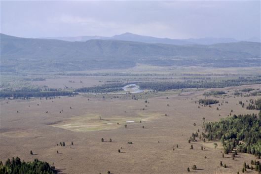Click for large image