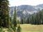 The meadow next to our lunch site.