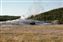 While waiting for Old Faithful that morning this is what strolled by.  We were less then 100 ft away from him.