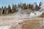 The pool is starting to fill. Notice the trees in the background, they are all scalded from constantly being drenched with boiling water from the geyser.