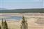 Buffalo can be seen in just about all areas of Yellowstone.
