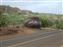 Across the road from Nakalele Point is the giant volcanic rock.  The boulder is called the Bellstone.