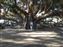 Before the Luau we visited Banyan Court Park in Lahaina, here is Nancy and Steve beneath the park's Banyan Tree which was planted in 1873.