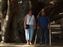 This Banyan Tree was 8 feet tall when it was planted in 1873, now it's over 40 feet tall has 16 trunks and a circumference of 0.25 miles.  This tree is HUGE.
