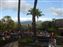 Before the Luau we strolled the grounds sipping countless Mai Tai's.