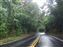 The swaying Bamboo lined roads were really cool.