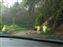 A large tree has come down and was blocking the road, we waited about 15 minutes while workers cleared a fallen tree.