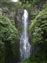 This is Paihi Falls and is 50 ft tall.