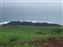 DSCF1040.JPG