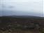 This is the Kanaio Natural Area Reserve, the lava in this area flowed from Mt Haleakala some 500 years go.