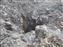 Within the park is a blow hole.  I found the hole and snapped this photo of it.