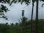 As we were leaving the park we saw their Tsunami Siren.  Glad we didn't get a chance to hear it.