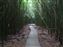 Some parts were boardwalks.