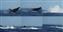 If you're ever on Maui, I would highly recommend going whale watching with the Ultimate Whale Watch tour.